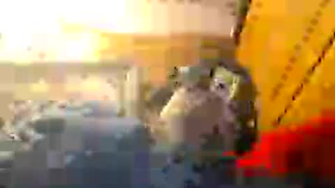 Z0RL0C online show from 08-01-26, 06:18
