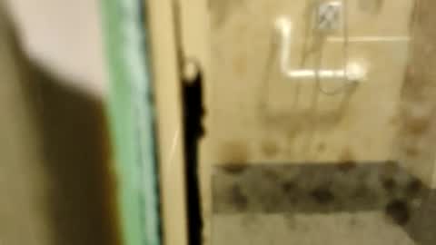 ZUL online show from 02-09-26, 01:53