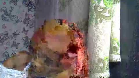 zarinamarlin online show from 03-18-26, 09:12