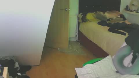 Zed online show from 12-28-24, 04:09