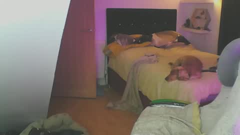 Zed online show from 01-19-25, 06:10