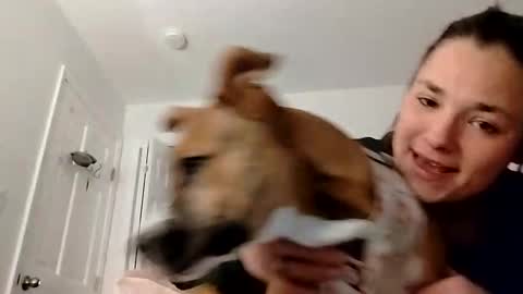 Snapshot of zellelajay2009 chatting on 02-12-25, 02:14 KENDAL Kaylee online show from 02-12-25, 02:14