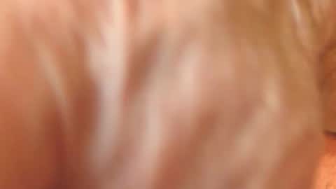 zevioo77 online show from 11-18-25, 11:58