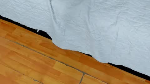 zia online show from 01-27-25, 10:49