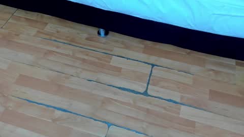 zia online show from 02-21-25, 12:17