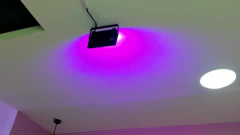 zia online show from 09-22-25, 11:23