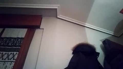 zigor13 online show from 02-04-26, 09:31