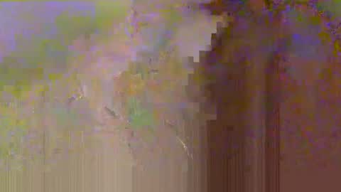 zobrythickock online show from 10-29-25, 05:25