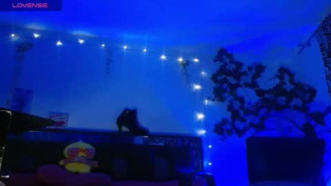 zoemi online show from 01-16-25, 03:34