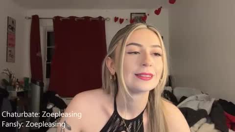 Snapshot of zoepleasing chatting on 02-13-26, 01:34 zoepleasing online show from 02-13-26, 01:34