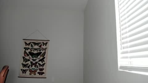 Zoie online show from 04-13-26, 08:58