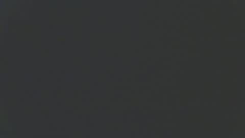 zomma44 online show from 03-11-26, 02:28