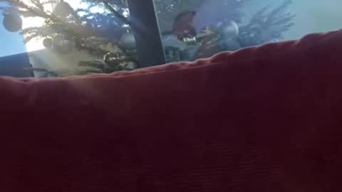 Velesk online show from 12-08-24, 01:36