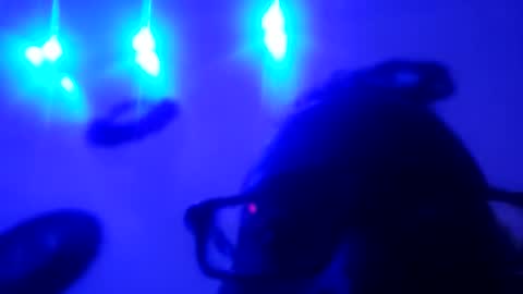 zooted12 online show from 05-11-26, 10:32