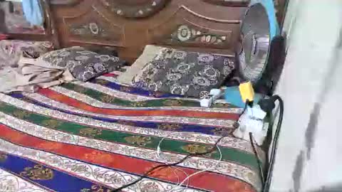 zoyakhan803 online show from 02-12-26, 10:05