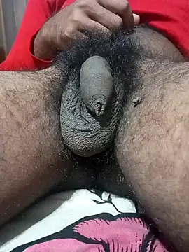 Snapshot of Nishu12356g chatting on 01-13-25, 07:53 Nishu12356g online show from 01-13-25, 07:53