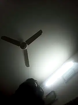 Rupok dulavai online show from 12-02-24, 07:27