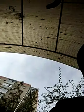 J0nyhson online show from 03-23-25, 07:31