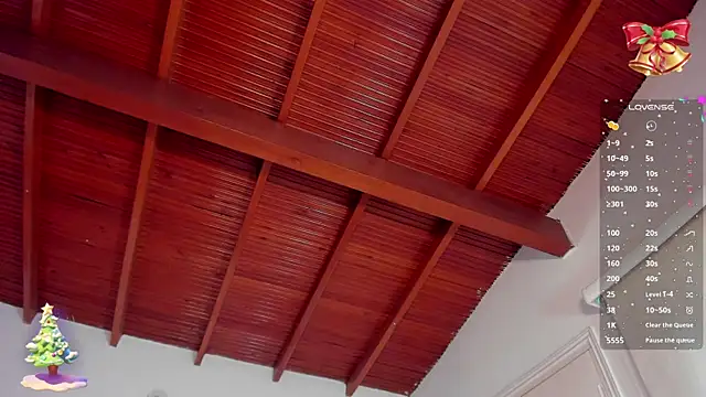 bhritany brow online show from 12-31-24, 01:30