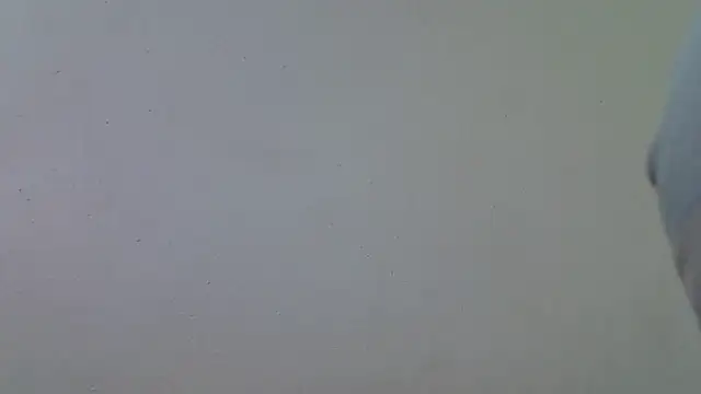 AddictiveAssCurves online show from 03-18-26, 08:39