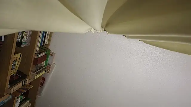 curiosillo83 online show from 03-23-26, 05:06