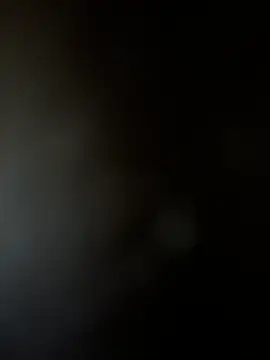 Yurt000 online show from 02-03-25, 07:29