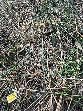 Yurt000 online show from 09-16-25, 04:57