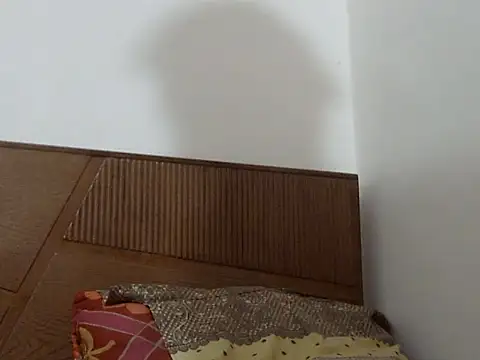 Snapshot of shekira99 chatting on 09-13-25, 12:27 shekira99 online show from 09-13-25, 12:27