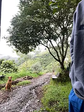 vergasgrandes online show from 01-05-25, 09:14