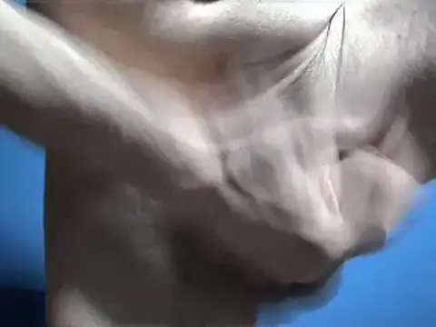 Snapshot of Pol8822 chatting on 03-04-26, 11:44 Pol8822 online show from 03-04-26, 11:44