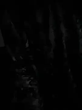 demonslayerr999 online show from 12-23-24, 06:33