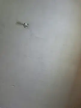 Ricorryxh online show from 12-14-24, 05:29