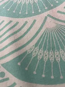 kannadatelugugirl online show from 01-01-25, 03:13