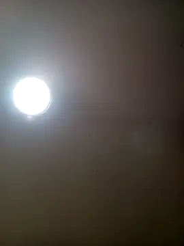 Snapshot of TrainedFinder5 chatting on 09-30-25, 08:14 TrainedFinder5 online show from 09-30-25, 08:14