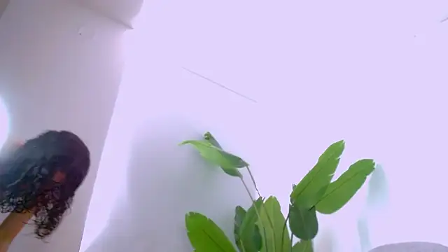 Sara ow online show from 02-09-26, 07:29