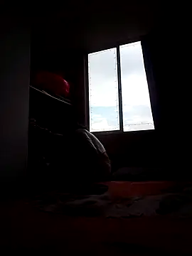 Cameron puppy online show from 11-15-25, 08:38