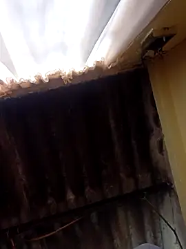 dantero online show from 02-27-25, 03:48