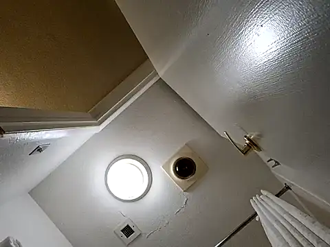 Treemandude online show from 10-29-25, 02:36