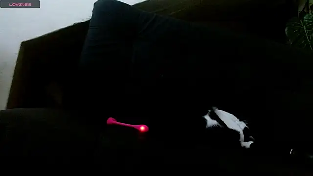 lady scarlettt online show from 02-18-25, 04:26