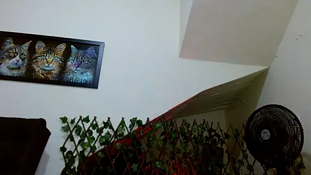 lady scarlettt online show from 02-23-25, 04:39