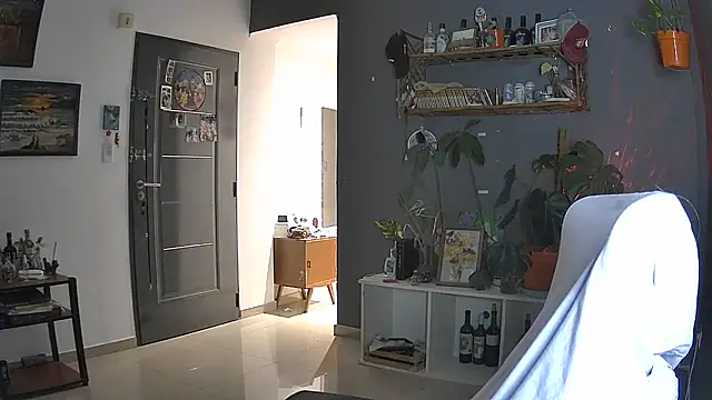 stupid babybird online show from 04-05-26, 11:13