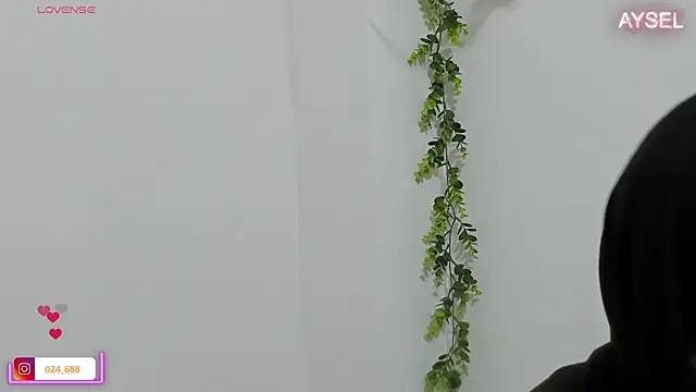 aysel elid online show from 01-08-25, 12:06