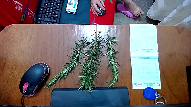 Snapshot of Malaya88 chatting on 02-16-25, 04:42 Malaya88 online show from 02-16-25, 04:42