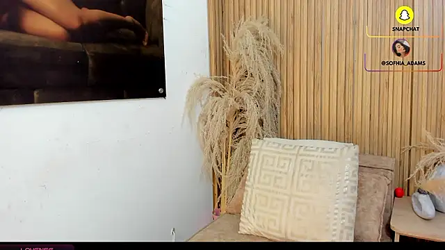 Snapshot of sofhiaa_adaams chatting on 02-20-26, 10:43 sofhiaa adaams online show from 02-20-26, 10:43