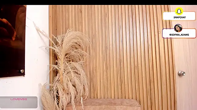 Snapshot of sofhiaa_adaams chatting on 02-22-26, 05:11 sofhiaa adaams online show from 02-22-26, 05:11