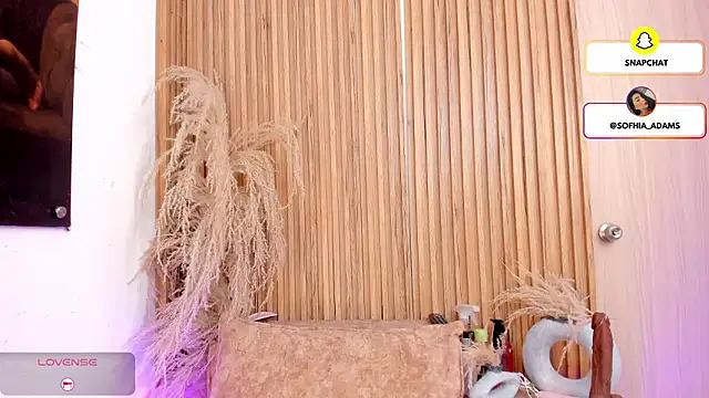 Snapshot of sofhiaa_adaams chatting on 02-27-26, 10:43 sofhiaa adaams online show from 02-27-26, 10:43