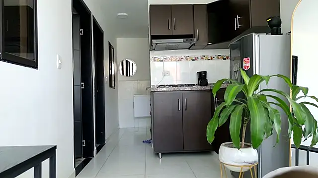 grey   27 online show from 03-06-25, 05:11