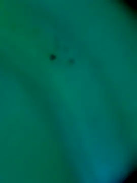 Snapshot of sm4lld1ck chatting on 10-31-25, 11:39 sm4lld1ck online show from 10-31-25, 11:39