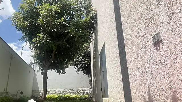 ChocolateCakeQueen online show from 11-11-25, 04:40