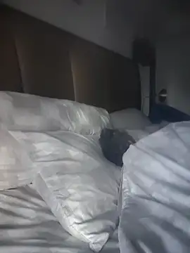 CeceilaMoon online show from 04-21-26, 01:06